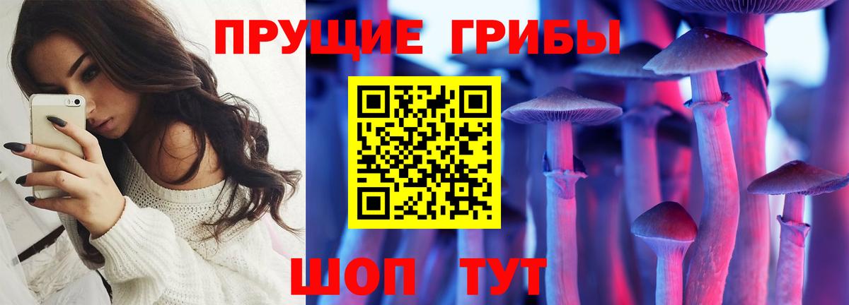 Галлюциногенные грибы мицелий Верхняя Салда